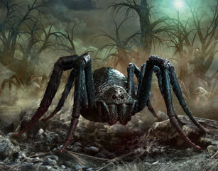 Related image of Wolf Spider Wolf Spider Dnd.