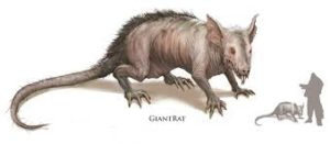 angry giant rat