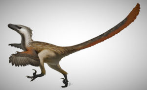 velociraptor dnd 5e